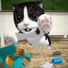 猫咪模拟器破解版 4.80 安卓版
